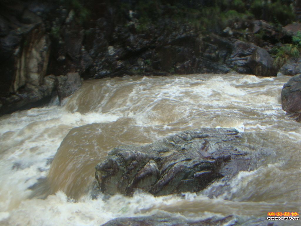 DSC03954.JPG