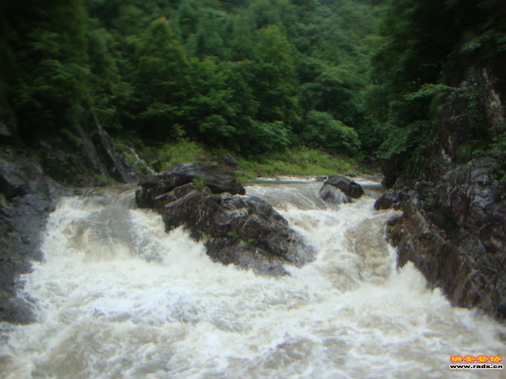 DSC03962.JPG