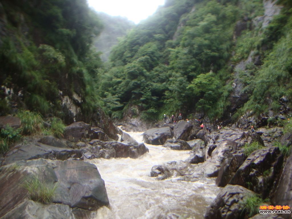 DSC03961.JPG
