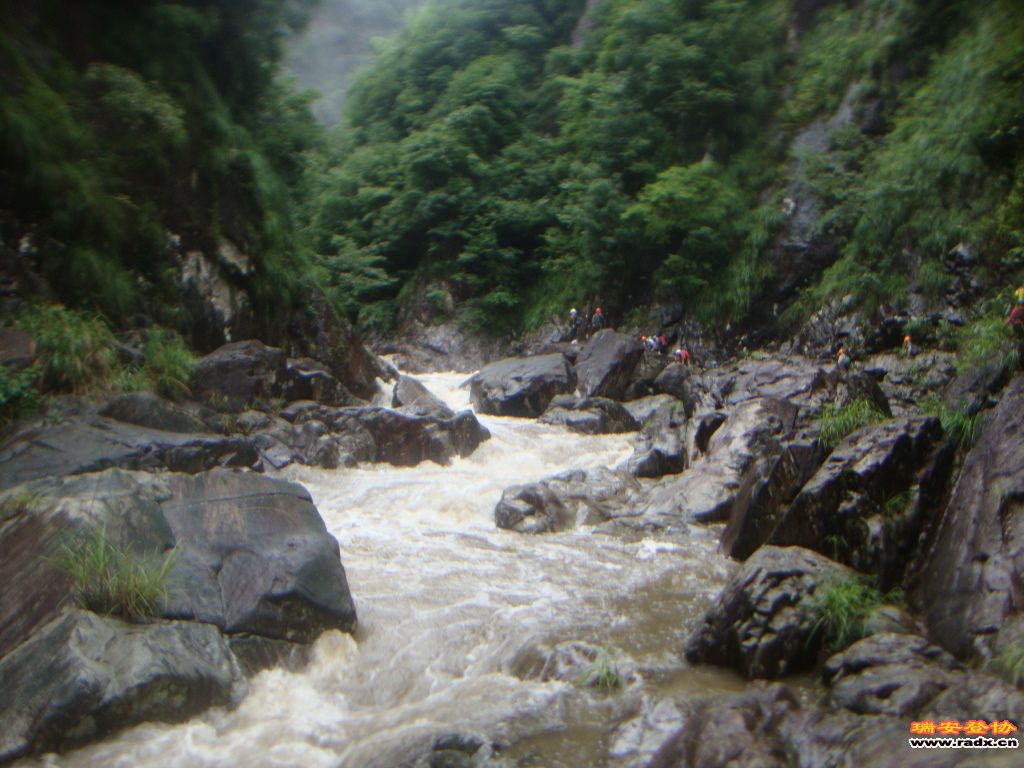 DSC03960.JPG