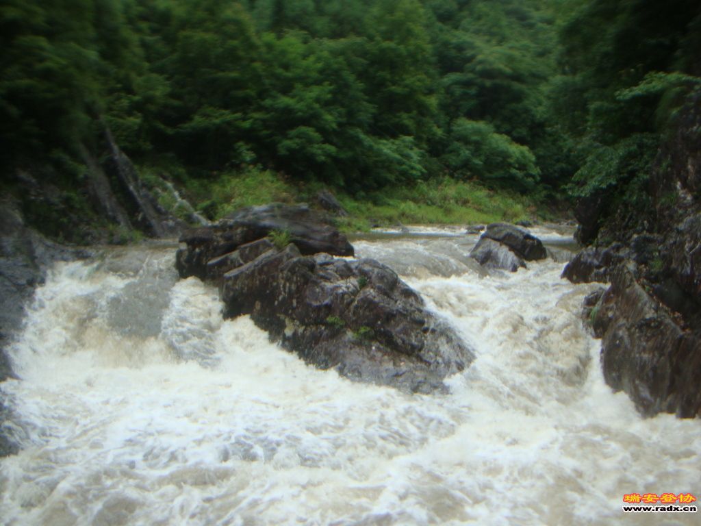 DSC03965.JPG