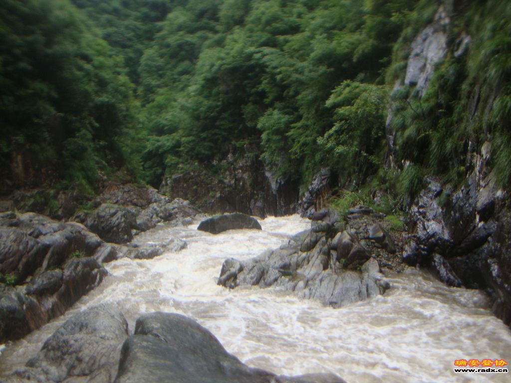 DSC03967.JPG
