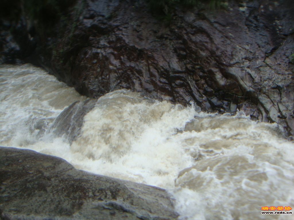 DSC03971.JPG
