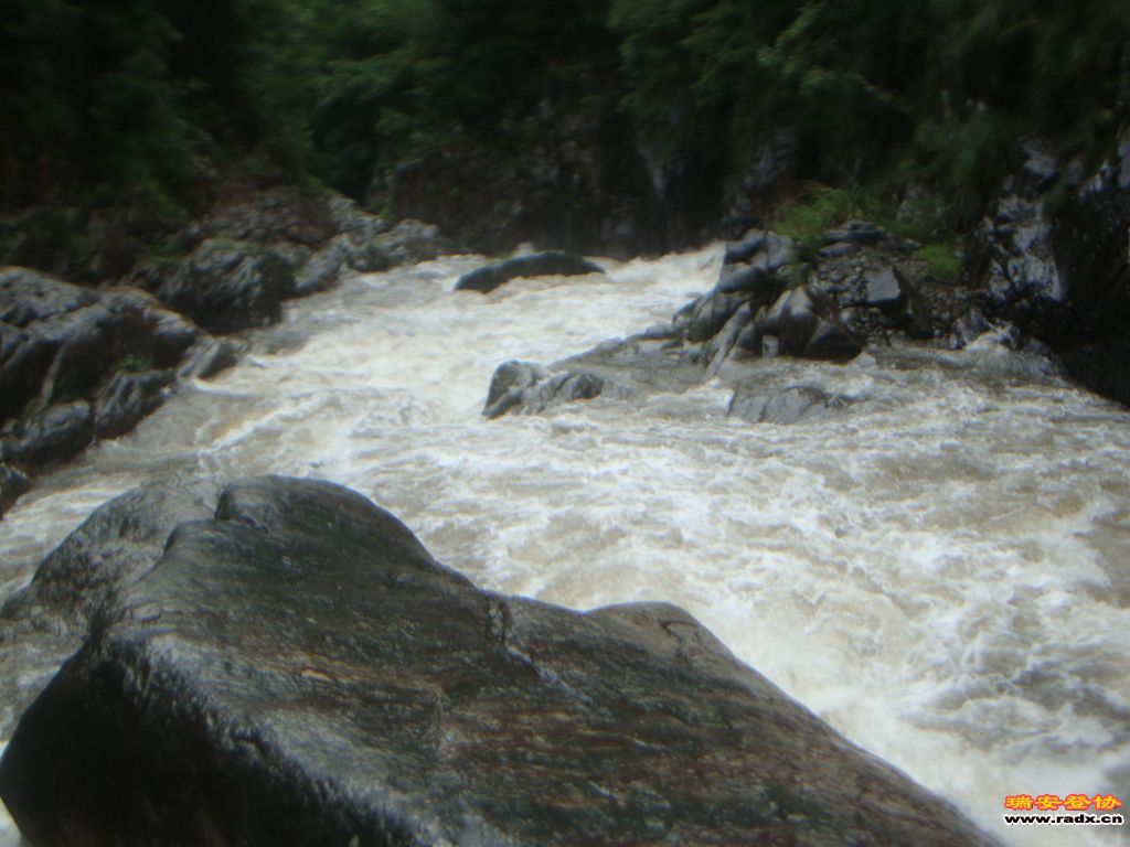DSC03972.JPG
