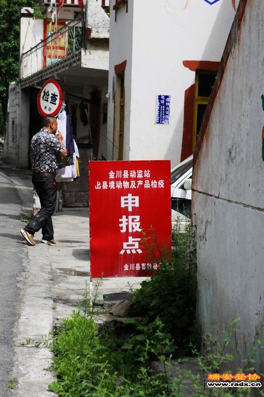 照14.jpg