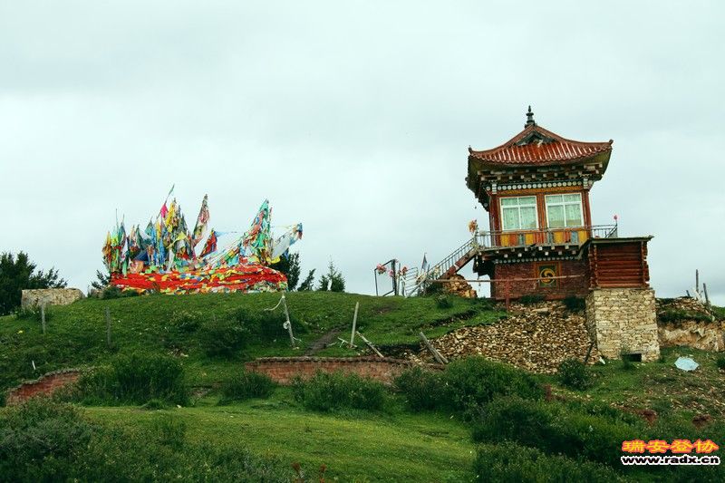 照片 23.jpg