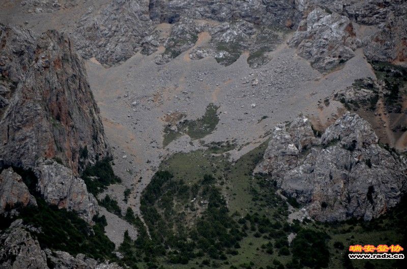 神山神鸡.jpg