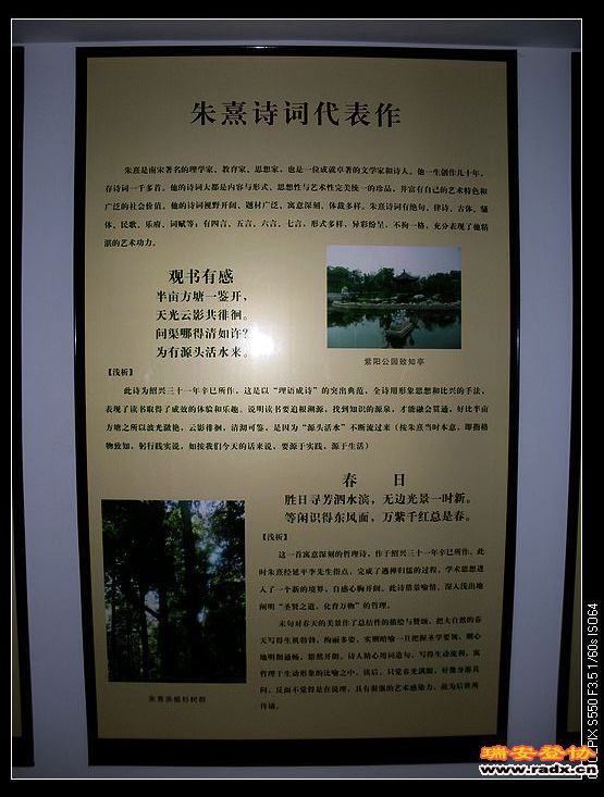 nEO_IMG_DSCN7221.jpg