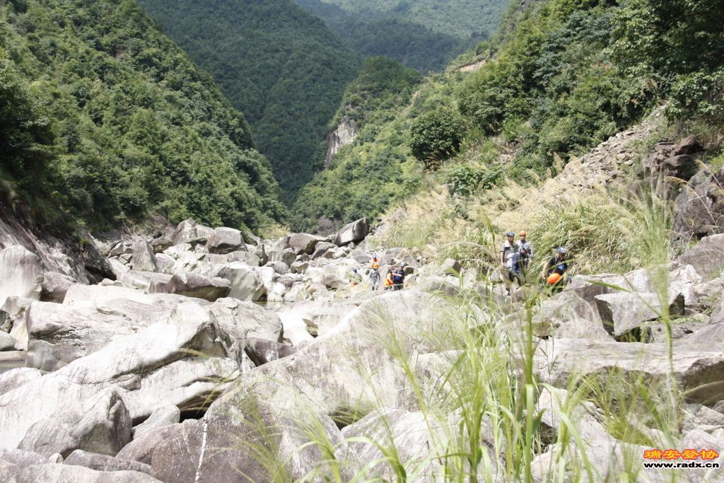 _MG_8334.JPG