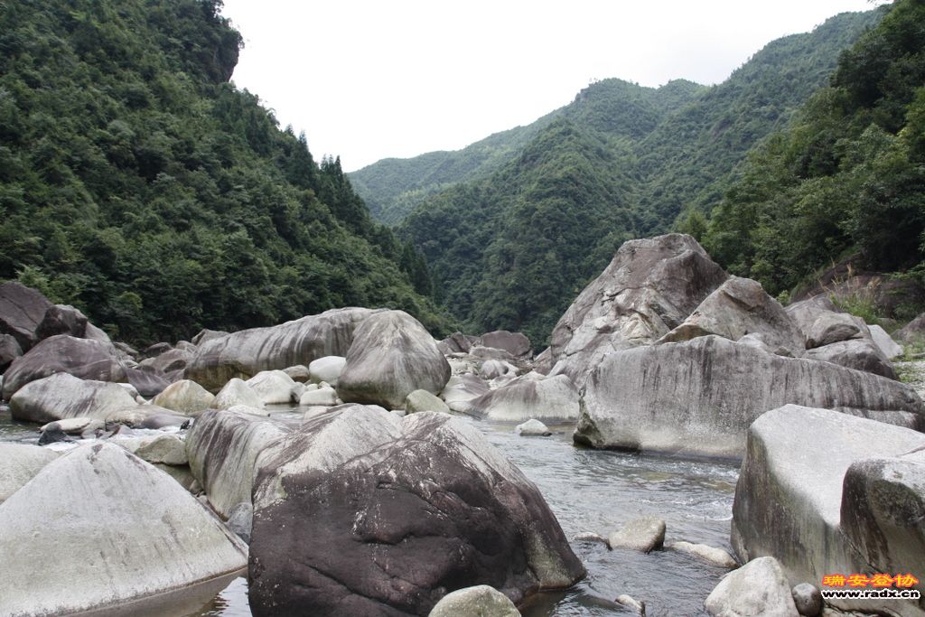 _MG_8361.JPG