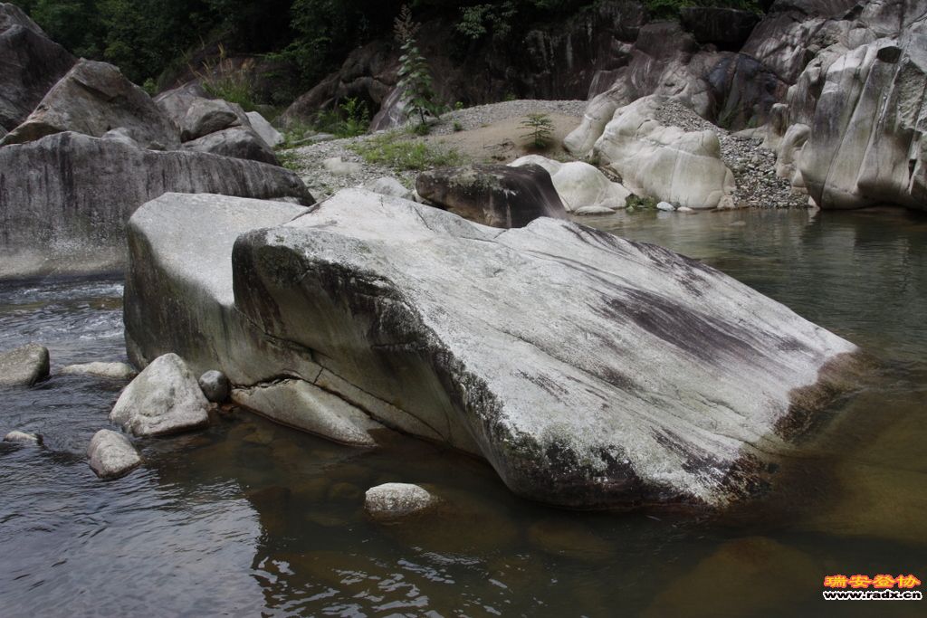 _MG_8358.JPG