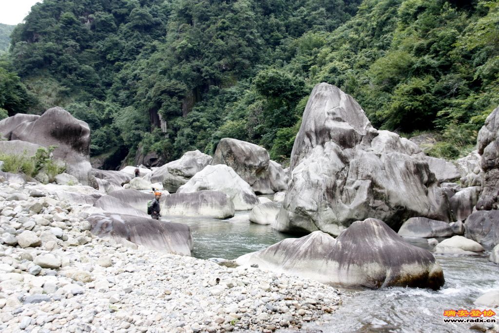 _MG_8430.JPG