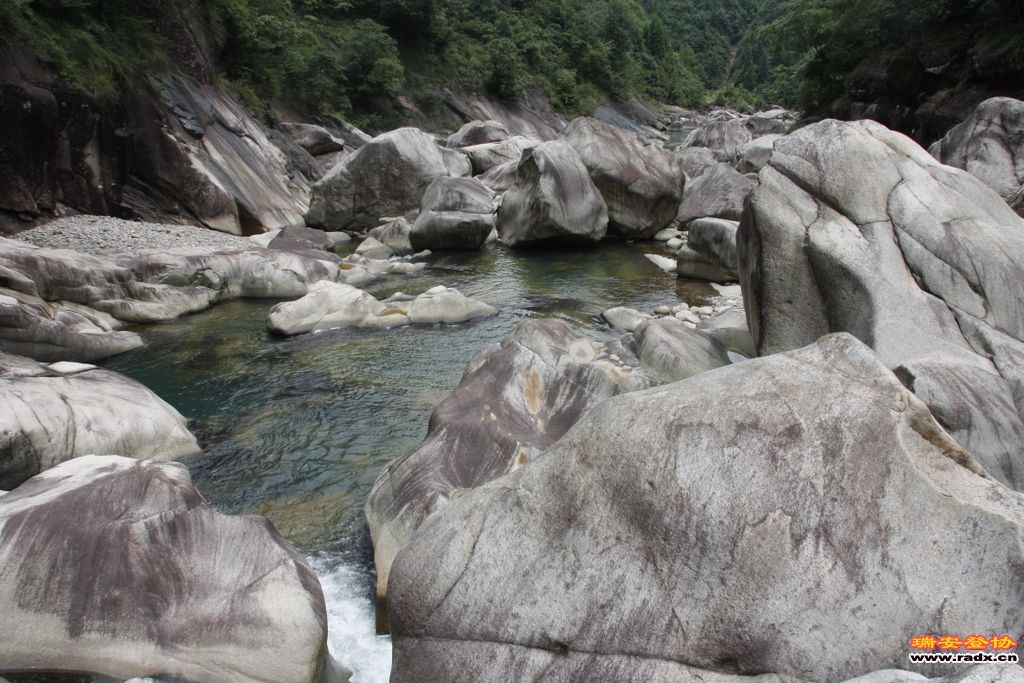 _MG_8454.JPG