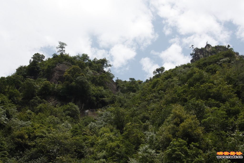 _MG_8458.JPG