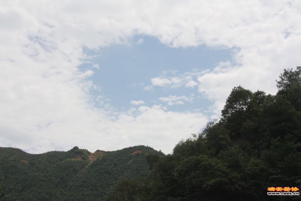 _MG_8479.JPG