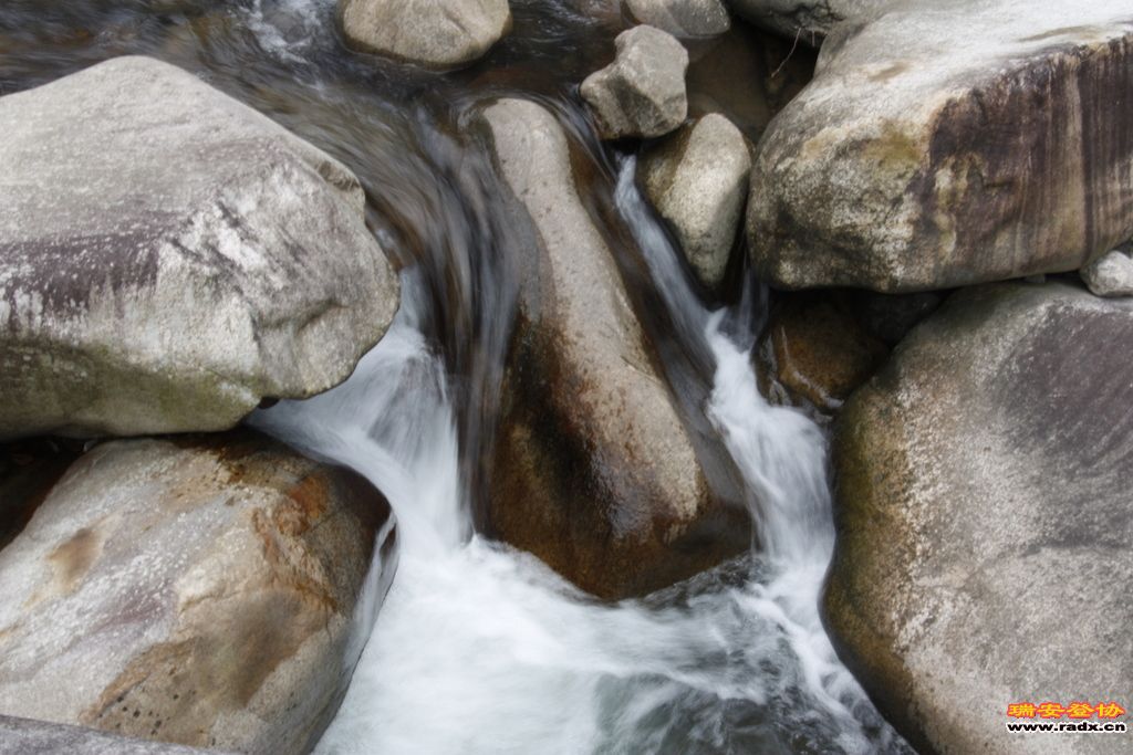 _MG_8480.JPG