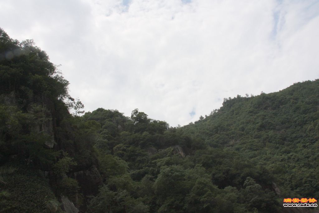 _MG_8478.JPG