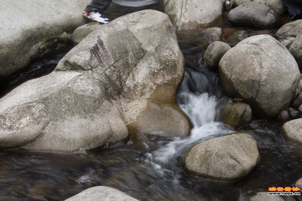 _MG_8481.JPG
