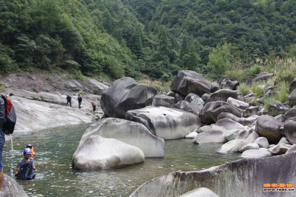 _MG_8531.JPG