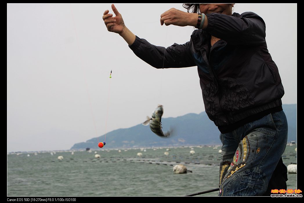 nEO_IMG_IMG_0271.jpg