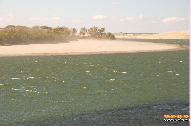 DSC_8478.jpg