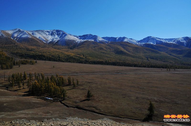 DSC_8725.jpg