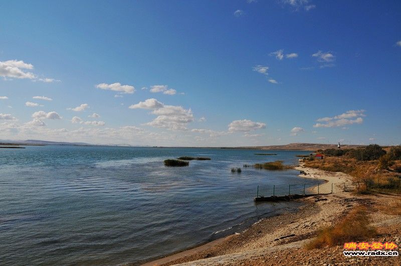 DSC_9535.jpg