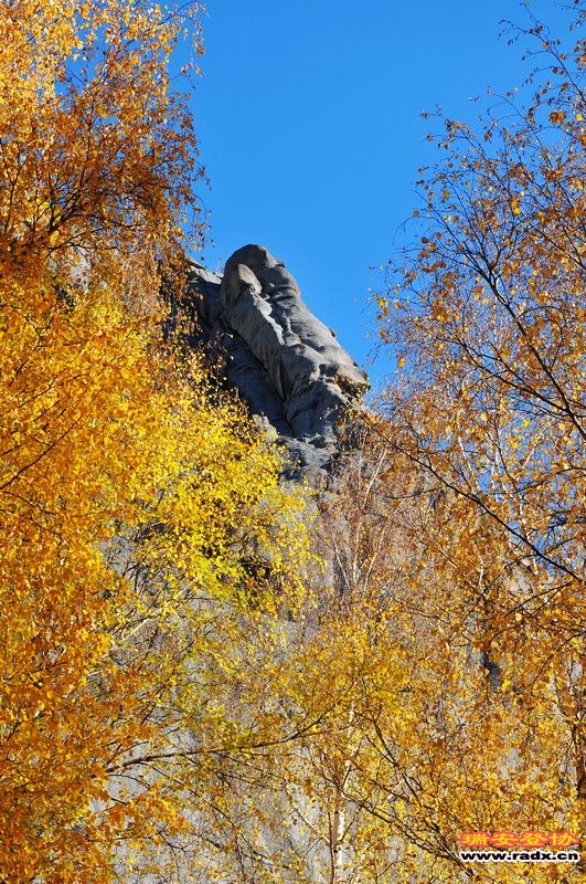 DSC_9653.jpg