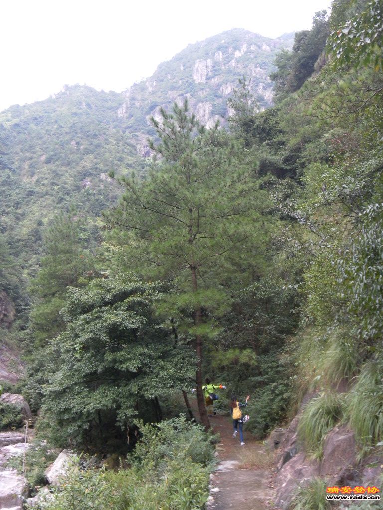 SAM_0098.JPG