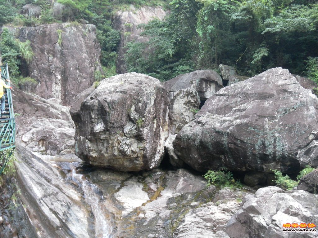 SAM_0088.JPG