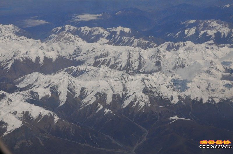 DSC_9915.jpg