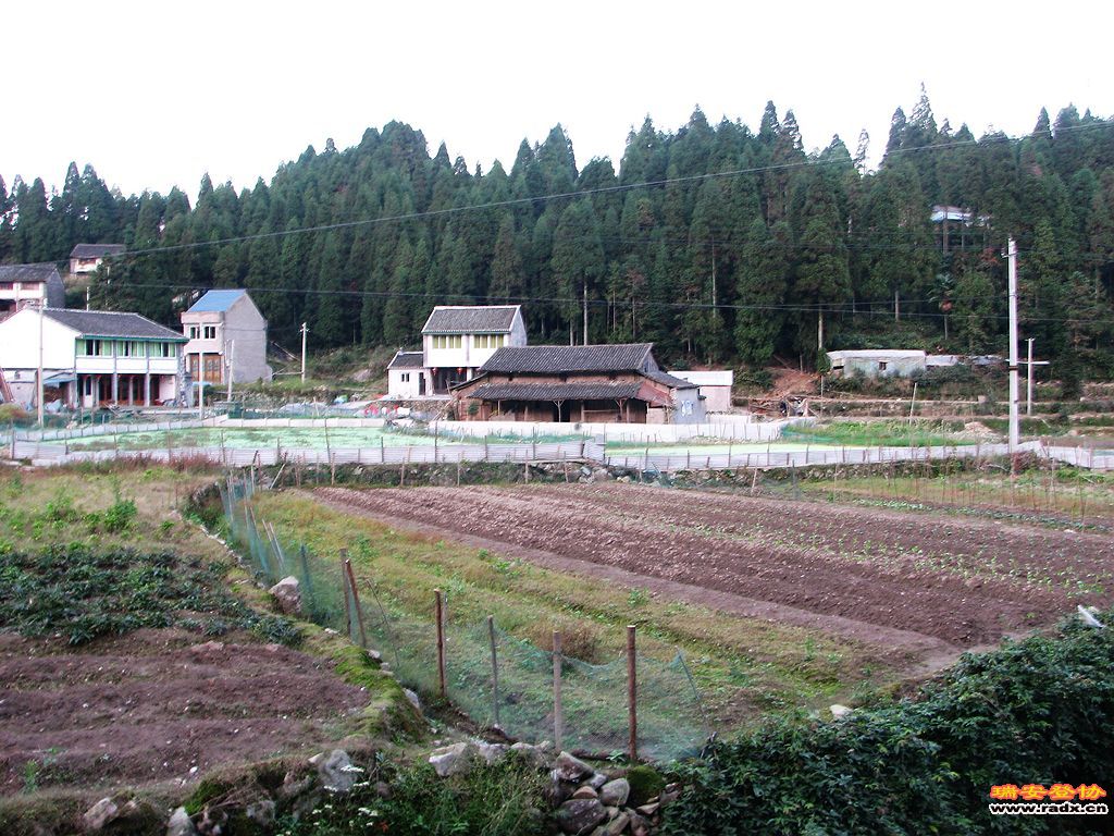 nEO_IMG_IMG_0198.jpg