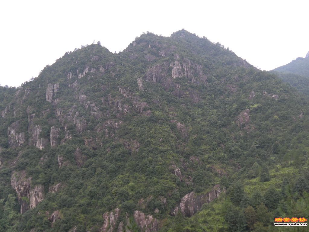 SAM_0117.JPG