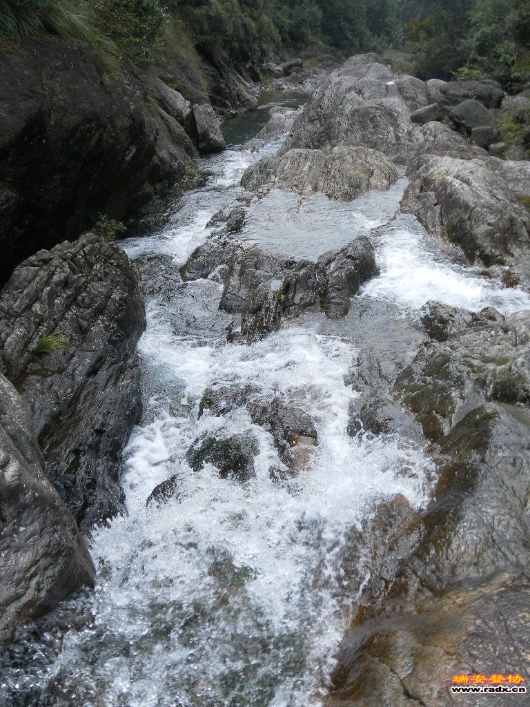 SAM_0175.JPG