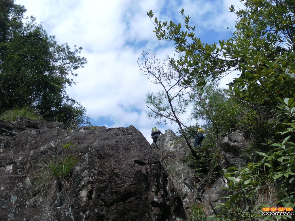 SAM_0212.JPG