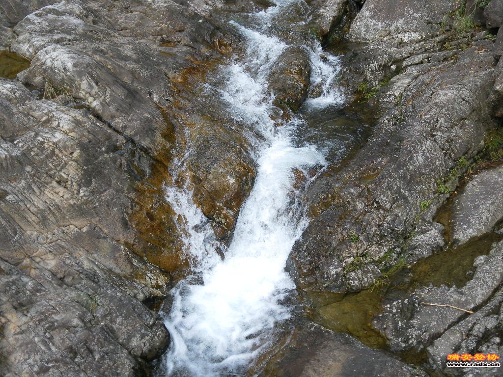 SAM_0217.JPG