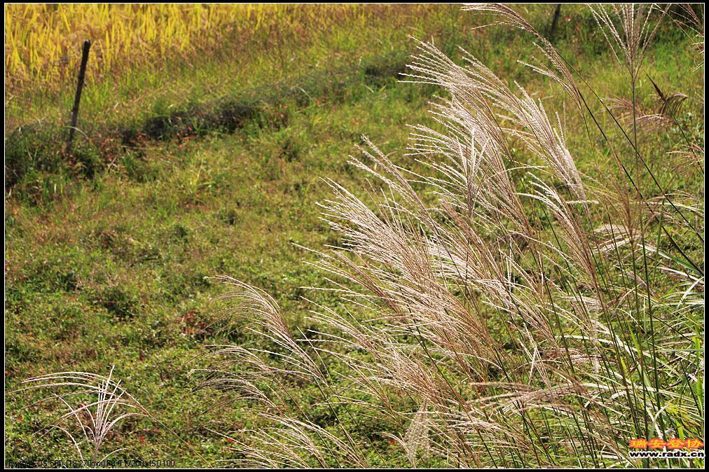 nEO_IMG_IMG_0281.jpg