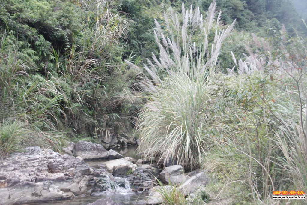 _MG_8819.JPG