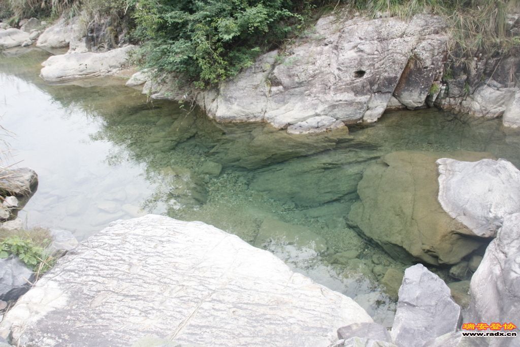 _MG_8818.JPG