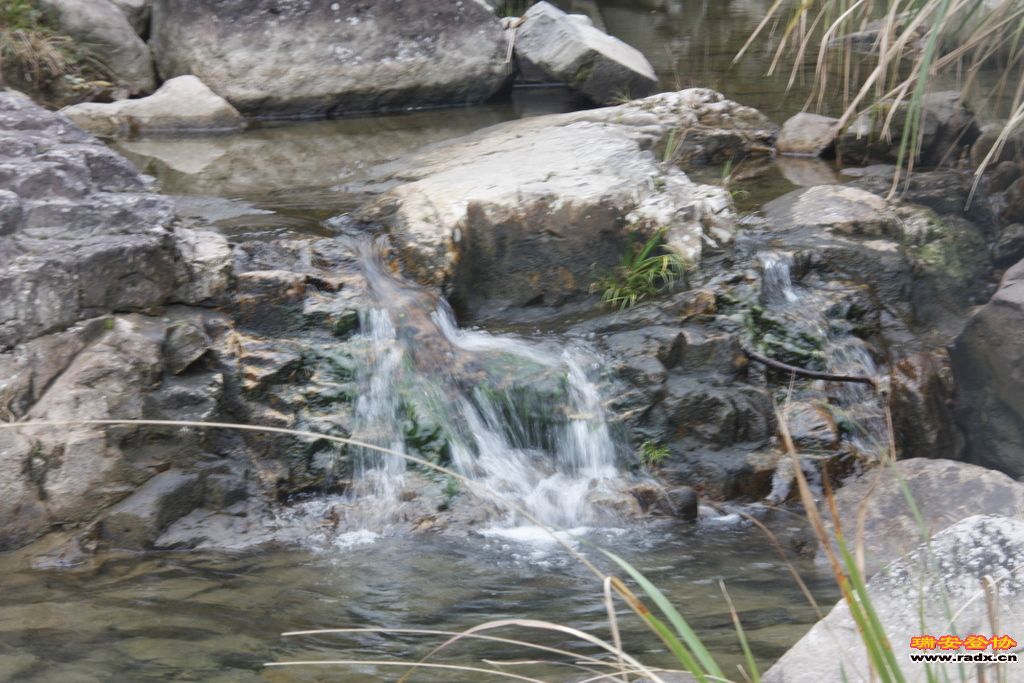 _MG_8820.JPG