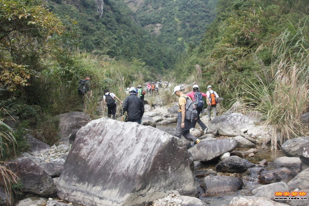 _MG_8846.JPG