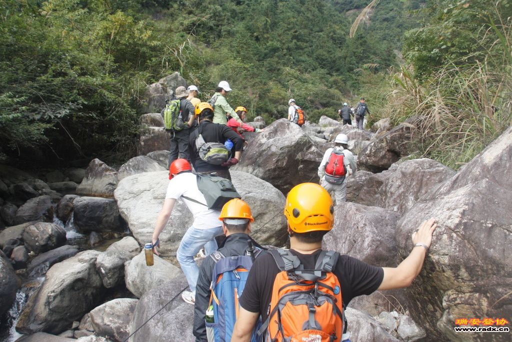 _MG_8853.JPG