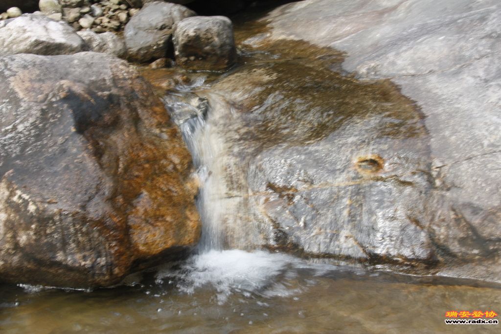 _MG_8858.JPG