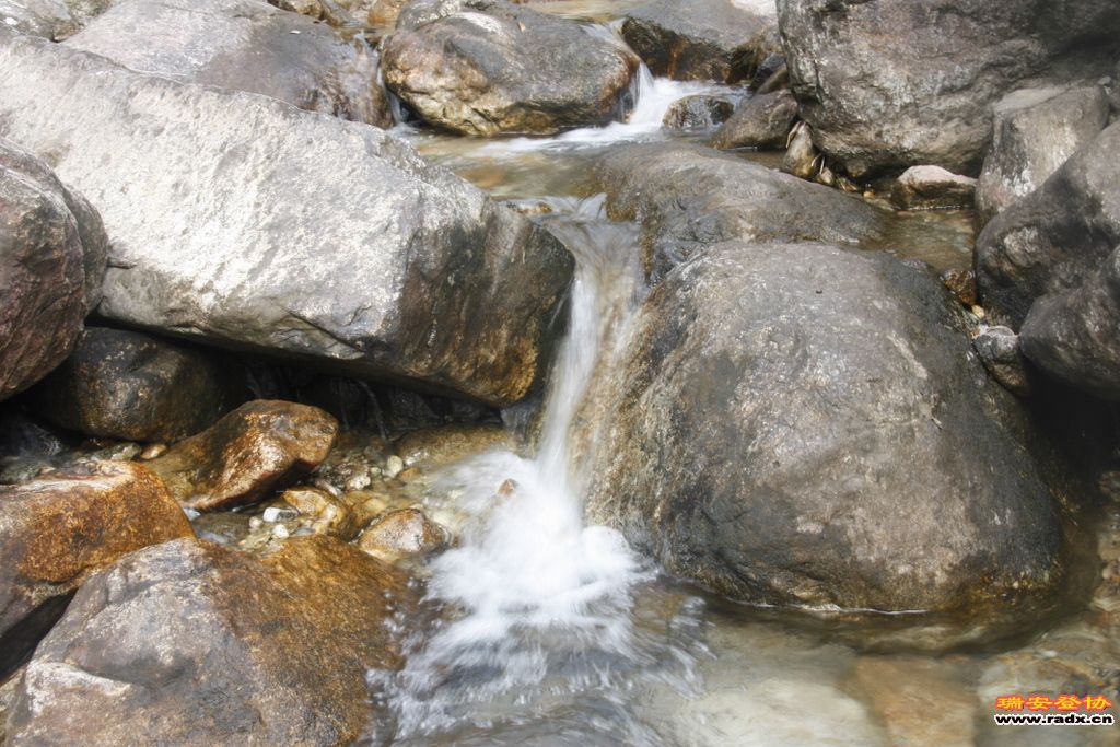 _MG_8862.JPG