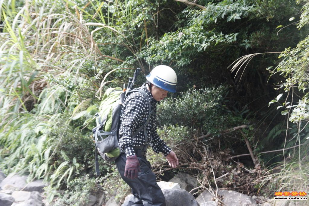 _MG_8869.JPG