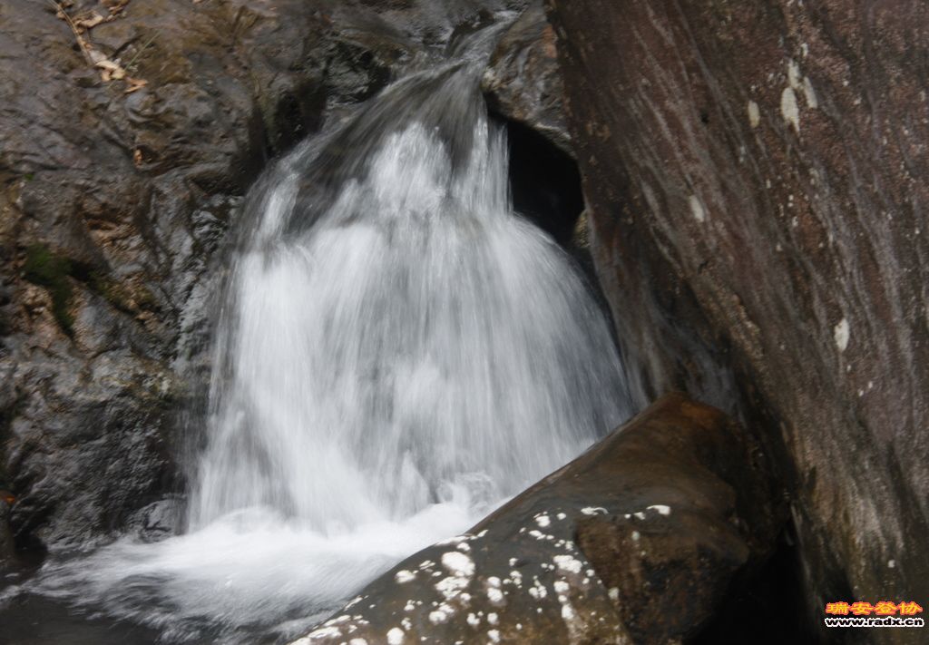 _MG_8889.JPG