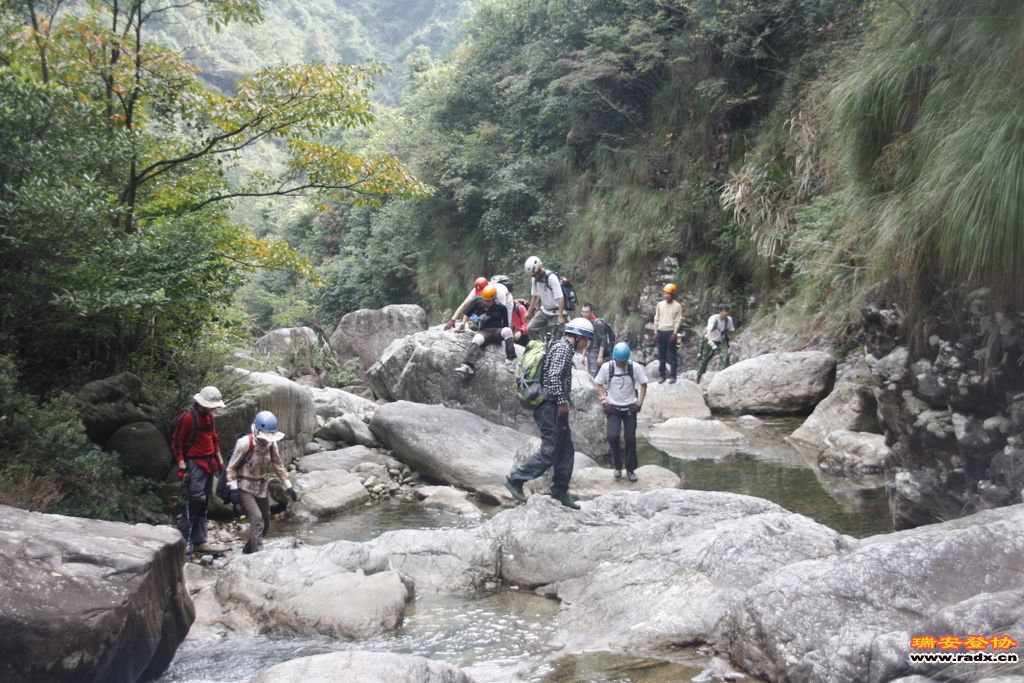 _MG_8893.JPG