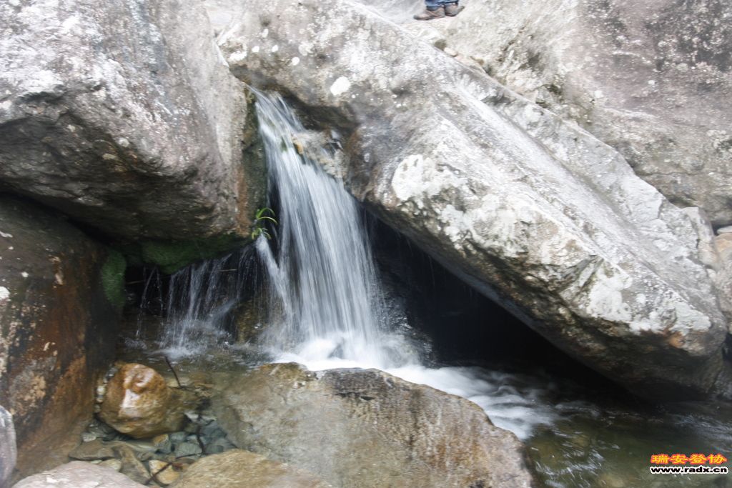 _MG_8898.JPG