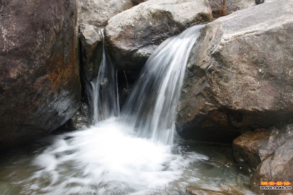 _MG_8910.JPG