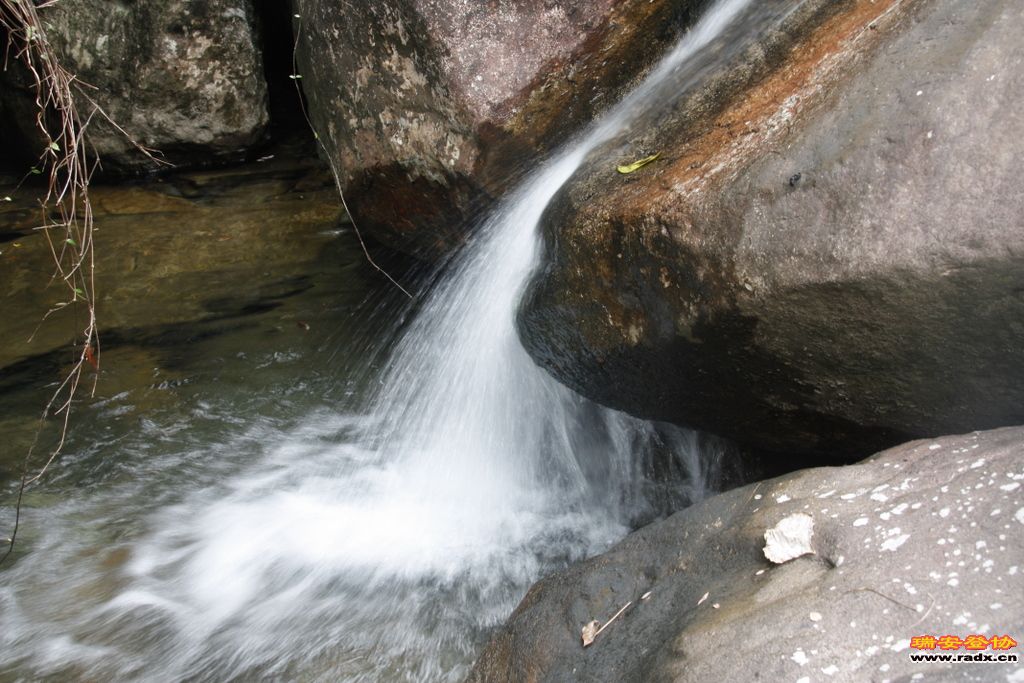 _MG_8912.JPG